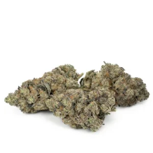 Slurricane-by-Pluto-Craft-Cannabis-1-300x300-1.webp Slurricane by Pluto Craft Cannabis